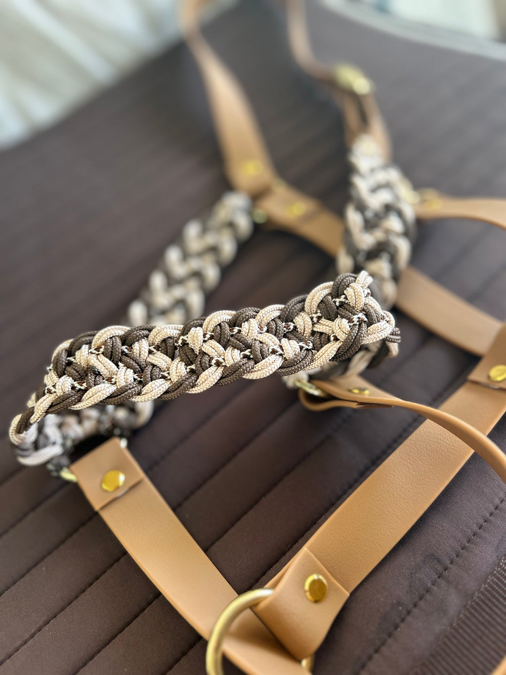 Licol Signature HCSMB - Précommande en exclusivité