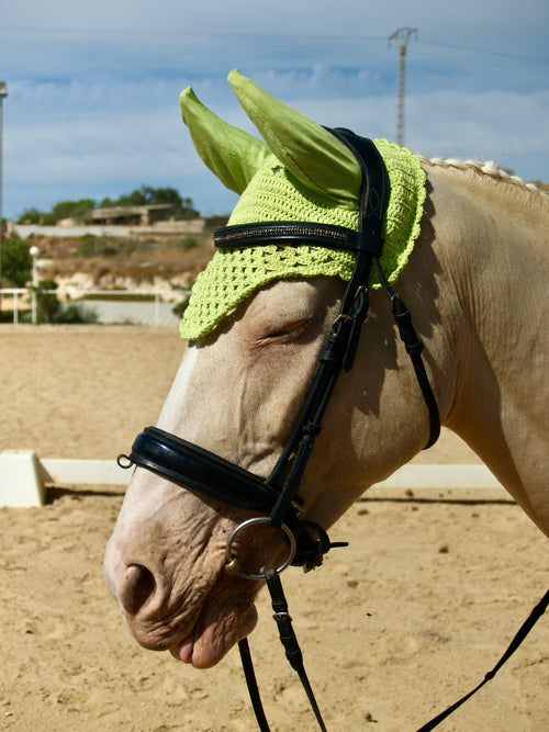 Bonnet MATCHA